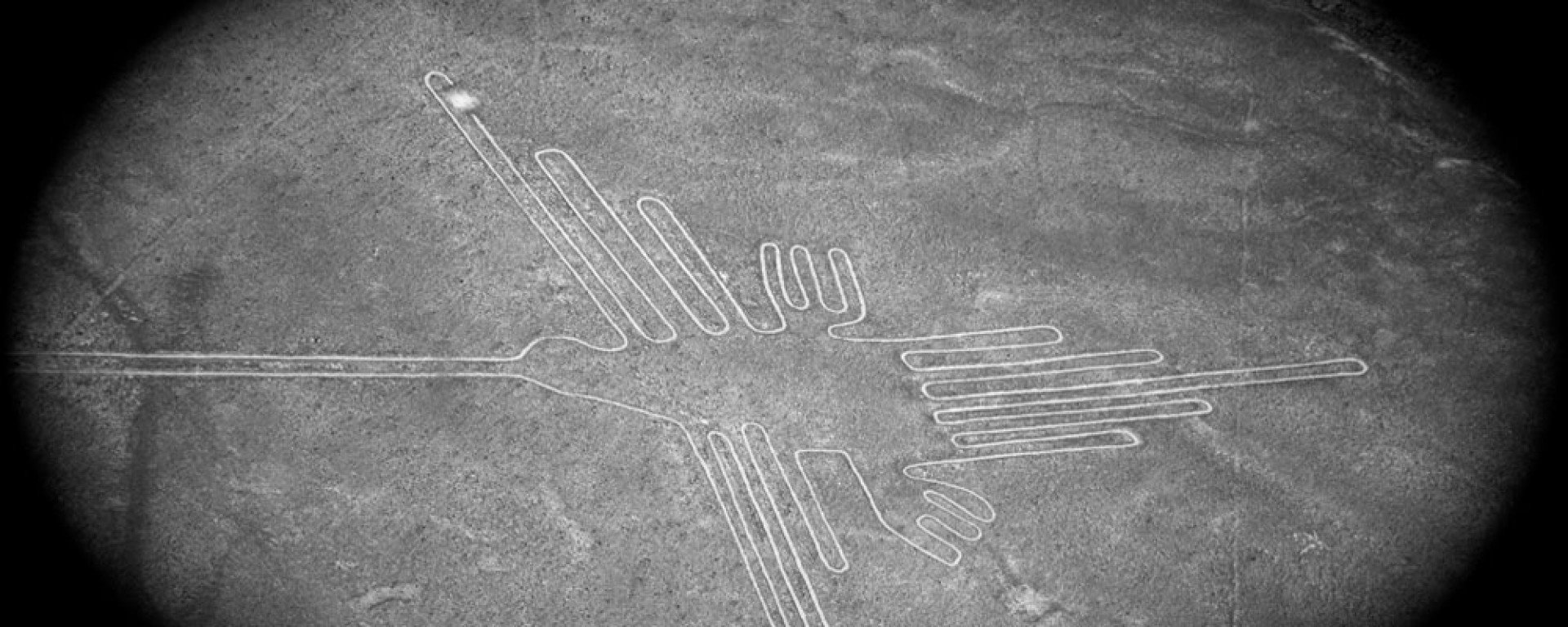 Nazca lines hummingbird