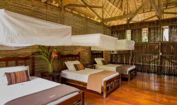 refugio Amazonas room