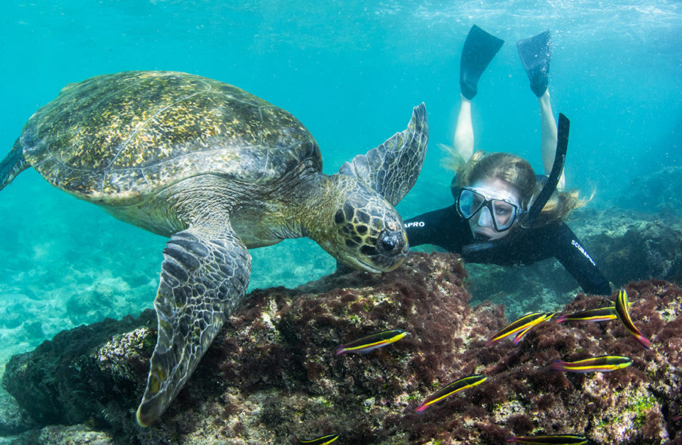 Galapagos Islands Family Adventure