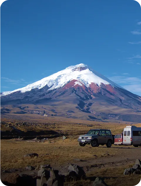 Andean Discovery