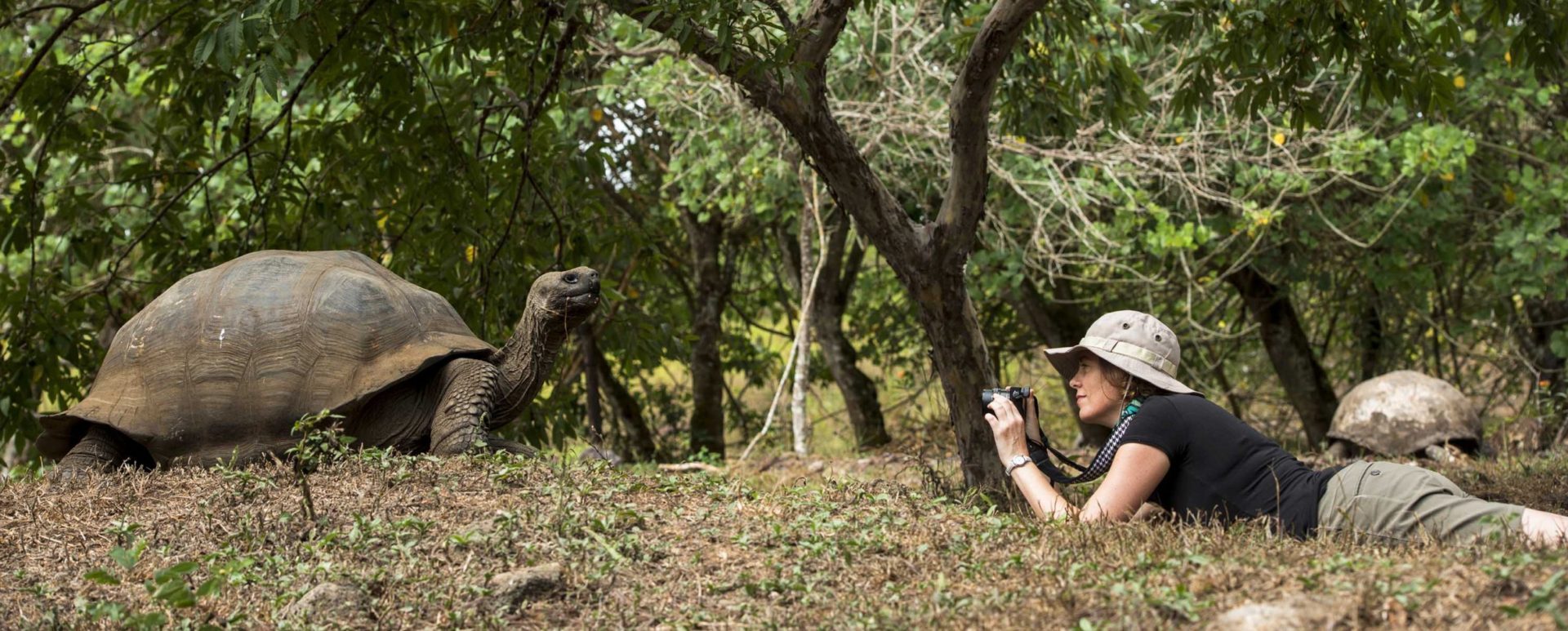 Tourist with Galapagos tortoise