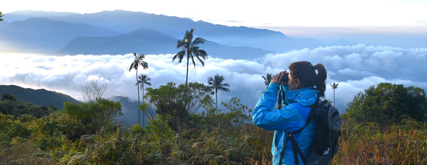 Colombia Nature reserve