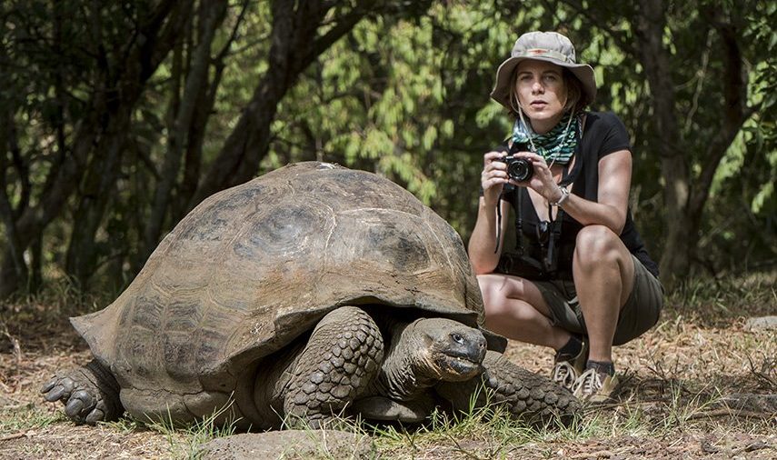 Tourist-and-Galapagos-giant-tortoise